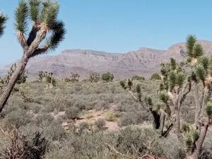 Off Grid 7acs, Beautiful Desert paradise.