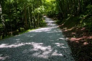 Bluewater Ridge Tract 6: Your Kentucky Dream Retreat