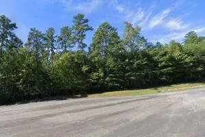 Exceptional Vacant Land in Altavista, VA