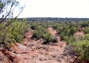 21.74 Acres Owner Financed Land for Sale- Truscott, Texas