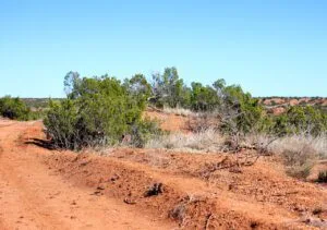 21.74 Acres Owner Financed Land for Sale- Truscott, Texas