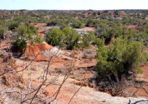 21.74 Acres Owner Financed Land for Sale- Truscott, Texas