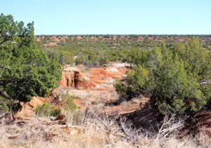 21.74 Acres Owner Financed Land for Sale- Truscott, Texas
