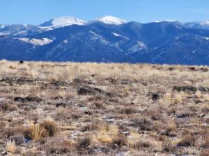 5.1 Acres to Build, Explore, and Thrive!
