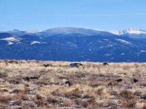 5.1 Acres to Build, Explore, and Thrive!