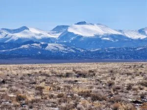 5.1 Acres to Build, Explore, and Thrive!