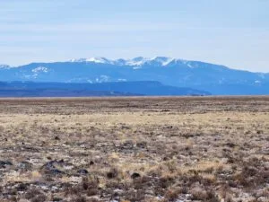 5.1 Acres to Build, Explore, and Thrive!