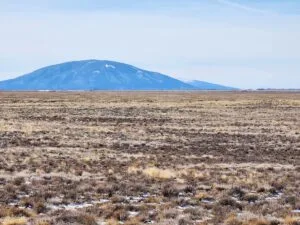 5.1 Acres to Build, Explore, and Thrive!