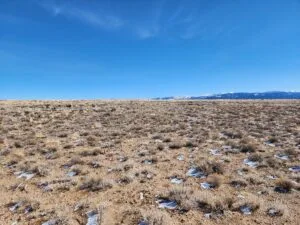 5.1 Acres to Build, Explore, and Thrive!