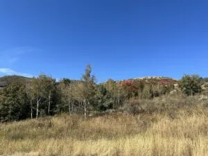 Prime Bear Lake View Lot – STR-Approved & Adventure-Ready!