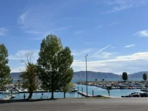 Prime Bear Lake View Lot – STR-Approved & Adventure-Ready!