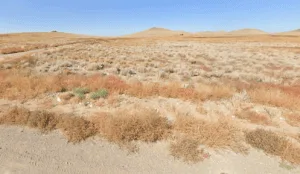 Embrace Nature, Embrace Freedom—5.9 Acres of Opportunity