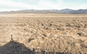 Peace, Privacy, and Possibility—4.94 Acres in Costilla!