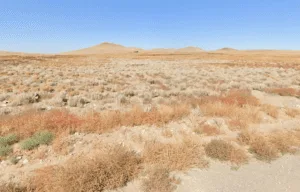 Embrace Nature, Embrace Freedom—5.9 Acres of Opportunity
