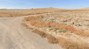 Embrace Nature, Embrace Freedom—5.9 Acres of Opportunity