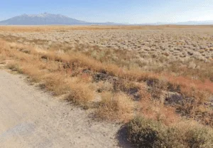 Embrace Nature, Embrace Freedom—5.9 Acres of Opportunity