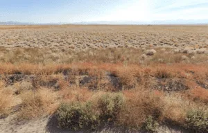Embrace Nature, Embrace Freedom—5.9 Acres of Opportunity