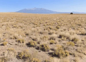Embrace Nature, Embrace Freedom—5.9 Acres of Opportunity