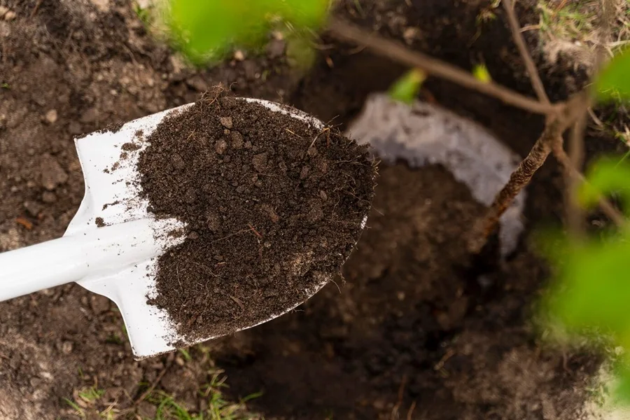 septic systems