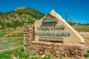 1 Acre Forested Lot In Upscale Community With Power, Underground Utilities And Water Access