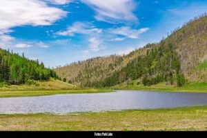 2.5 Acre Pre-Cleared Hillside Lot With Underground Utilities In Upscale Forested Community