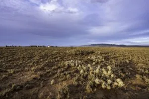 5 Acre Partially Fenced, Pre-Staked Lot Free Of Zoning Restrictions