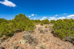 3.2 Acres Hilltop Lot With Power Overlooking Sanchez Reservoir