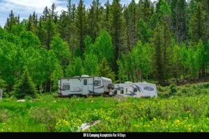 1 Acre Forested Lot In Upscale Community With Power, Underground Utilities And Water Access