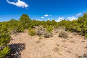 3.2 Acres Hilltop Lot With Power Overlooking Sanchez Reservoir