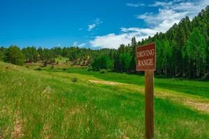 1 Acre Forested Lot In Upscale Community With Power, Underground Utilities And Water Access