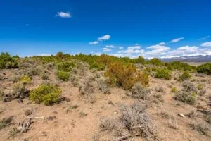 3.2 Acres Hilltop Lot With Power Overlooking Sanchez Reservoir