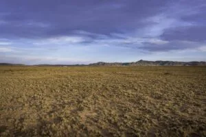 5 Acre Partially Fenced, Pre-Staked Lot Free Of Zoning Restrictions