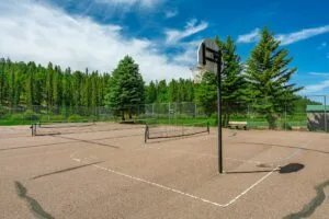 1 Acre Forested Lot In Upscale Community With Power, Underground Utilities And Water Access