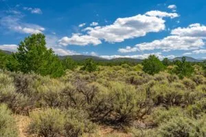5.7 Acre Corner Lot With Power Close To Mountain Home Reservoir