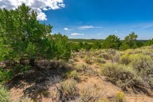 5.7 Acre Corner Lot With Power Close To Mountain Home Reservoir