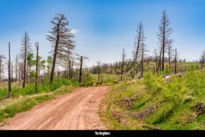 2.5 Acre Pre-Cleared Hillside Lot With Underground Utilities In Upscale Forested Community