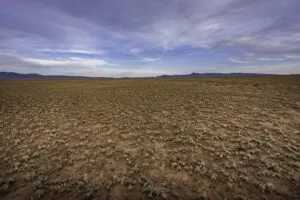 5 Acre Partially Fenced, Pre-Staked Lot Free Of Zoning Restrictions