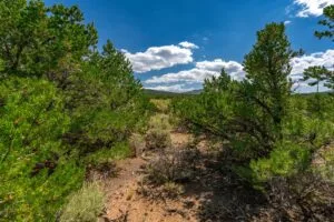 5.7 Acre Corner Lot With Power Close To Mountain Home Reservoir