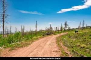 2.5 Acre Pre-Cleared Hillside Lot With Underground Utilities In Upscale Forested Community