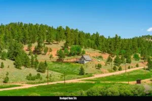 1 Acre Forested Lot In Upscale Community With Power, Underground Utilities And Water Access