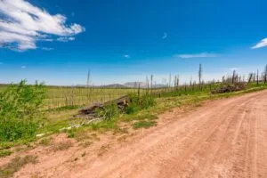 2.5 Acre Pre-Cleared Hillside Lot With Underground Utilities In Upscale Forested Community