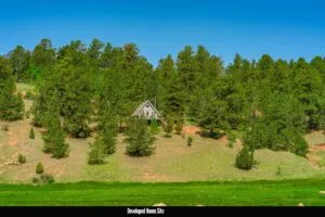 1 Acre Forested Lot In Upscale Community With Power, Underground Utilities And Water Access