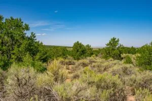 5.7 Acre Corner Lot With Power Close To Mountain Home Reservoir