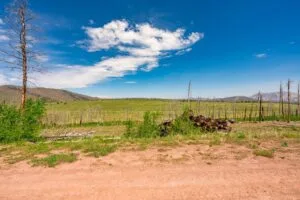 2.5 Acre Pre-Cleared Hillside Lot With Underground Utilities In Upscale Forested Community