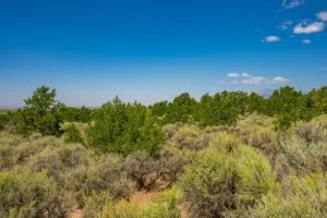 5.7 Acre Corner Lot With Power Close To Mountain Home Reservoir