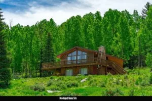 1 Acre Forested Lot In Upscale Community With Power, Underground Utilities And Water Access