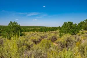 5.7 Acre Corner Lot With Power Close To Mountain Home Reservoir