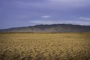 5 Acre Partially Fenced, Pre-Staked Lot Free Of Zoning Restrictions