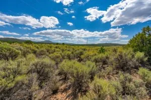 5.7 Acre Corner Lot With Power Close To Mountain Home Reservoir