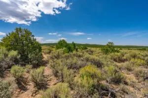 5.7 Acre Corner Lot With Power Close To Mountain Home Reservoir